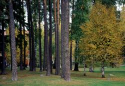 Finlandiya Genel