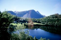 Norveç